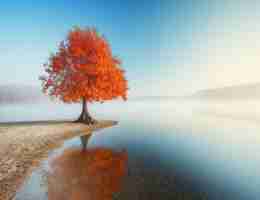 精​准‍图‌像‍识﻿别﻿脚‌本​是‌什‌么‌语‍言​